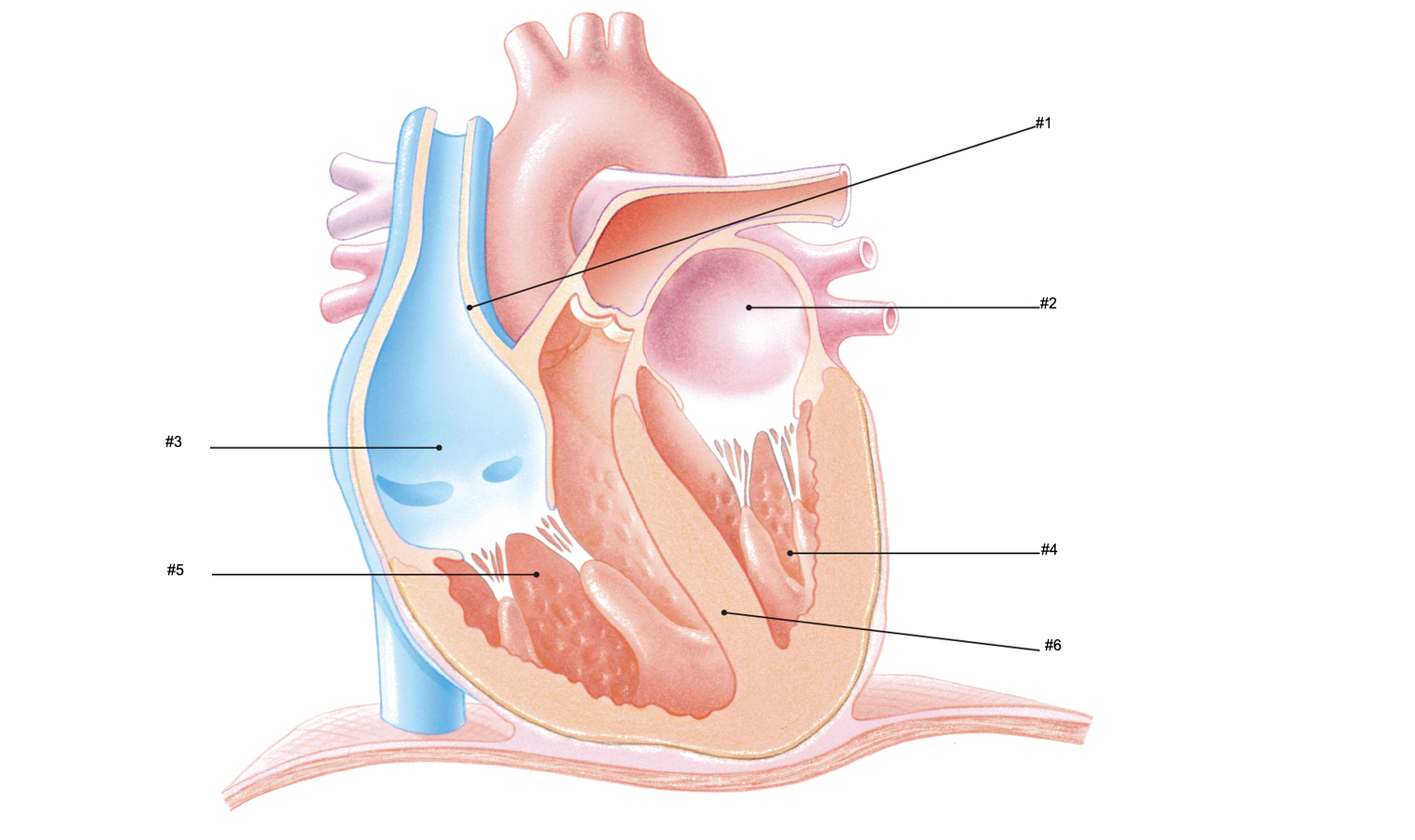 <p>#2</p>