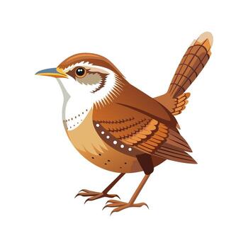 <p>Wren</p>