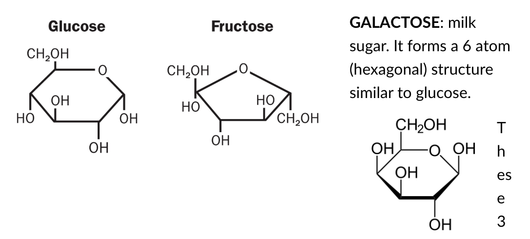 <p>Glucose - blood sugar, 6 carbon ring </p><p>Fructose - fruit sugar, 5 carbon ring  
Galactose - milk sugar, 6 carbon ring </p><p></p>