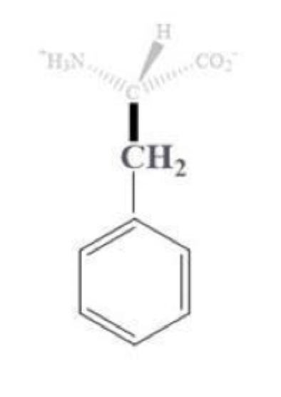 <ul><li><p>phe, F</p></li></ul><p></p><ul><li><p>has a CH2 - benzene side chain</p></li></ul><p></p><ul><li><p>aromatic amino acid</p></li><li><p>most hydrophobic among the aromatics </p></li></ul><p></p>