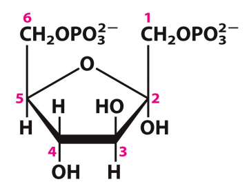 <p>What is this structure?</p>