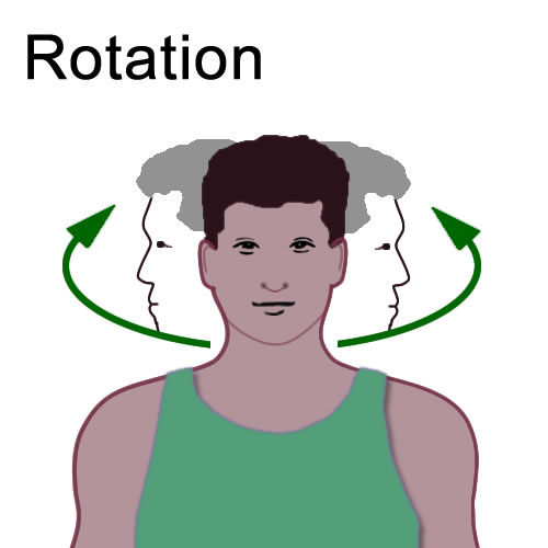 <p>rotating a limb around itself without actually moving</p>
