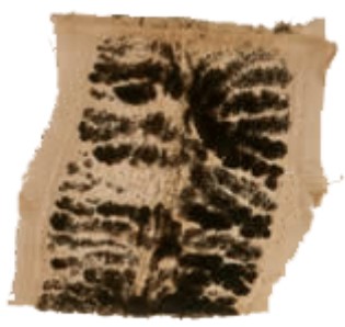 <p>Name</p>