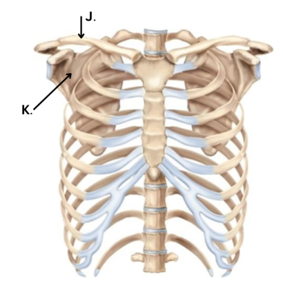 <p>What is K</p>