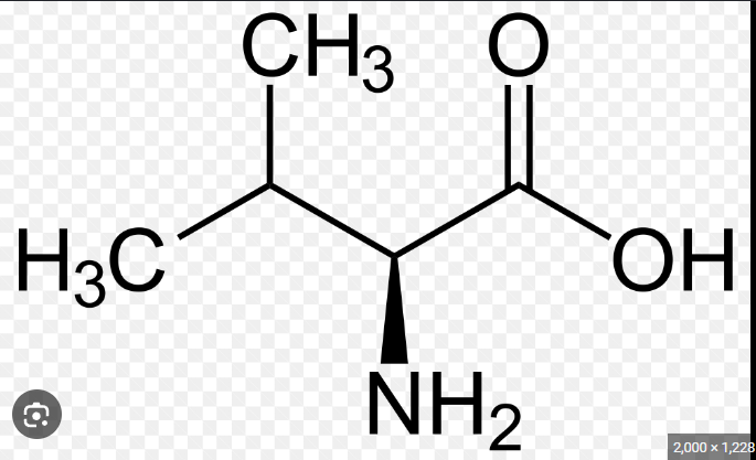<p>name this amino acid</p>