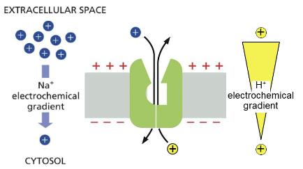 <p>down, against</p>