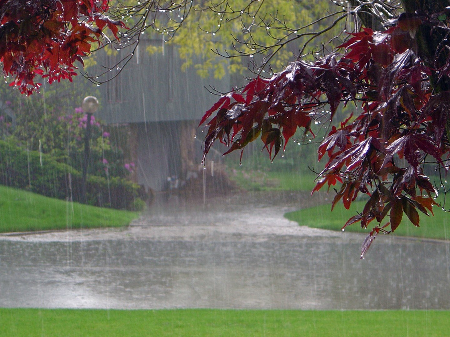 <p>a lot of rain</p>