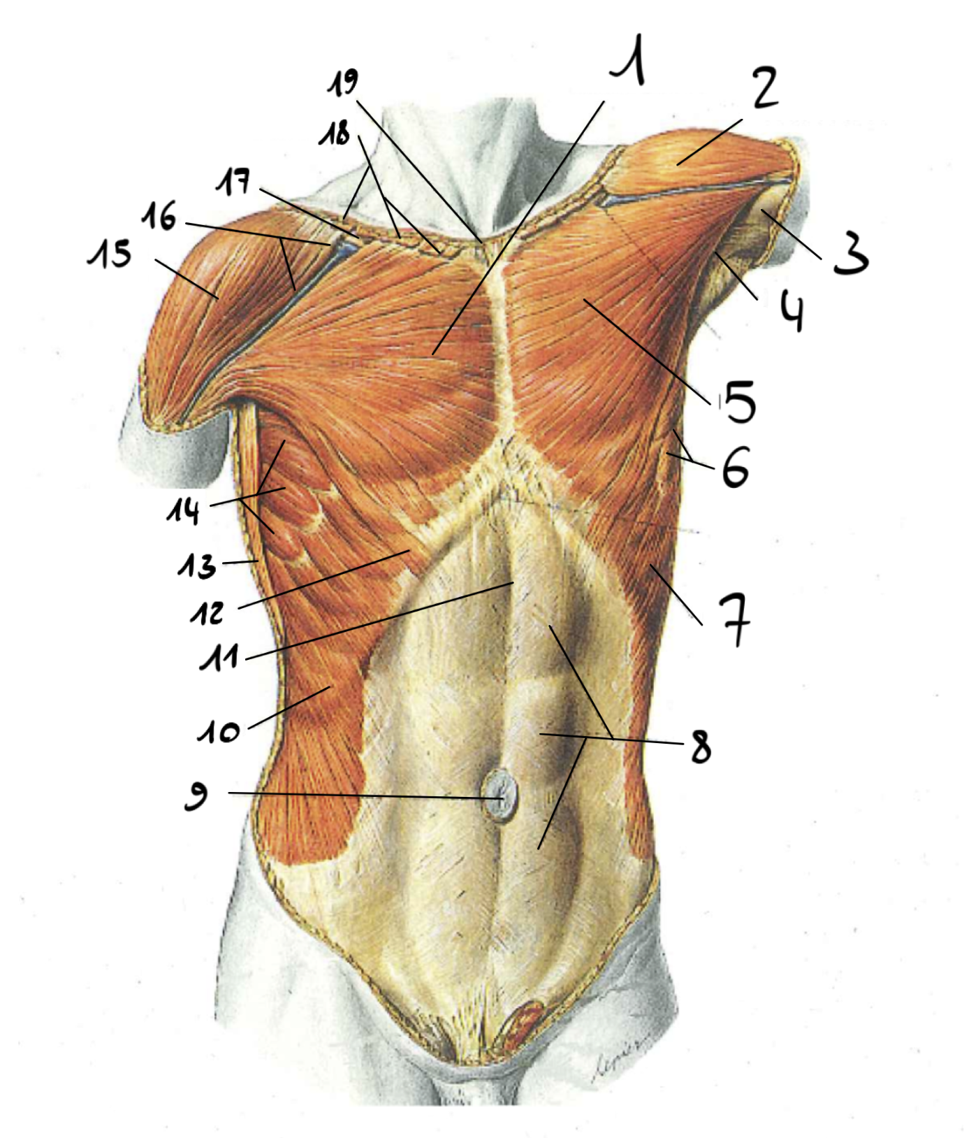 <p>6</p>