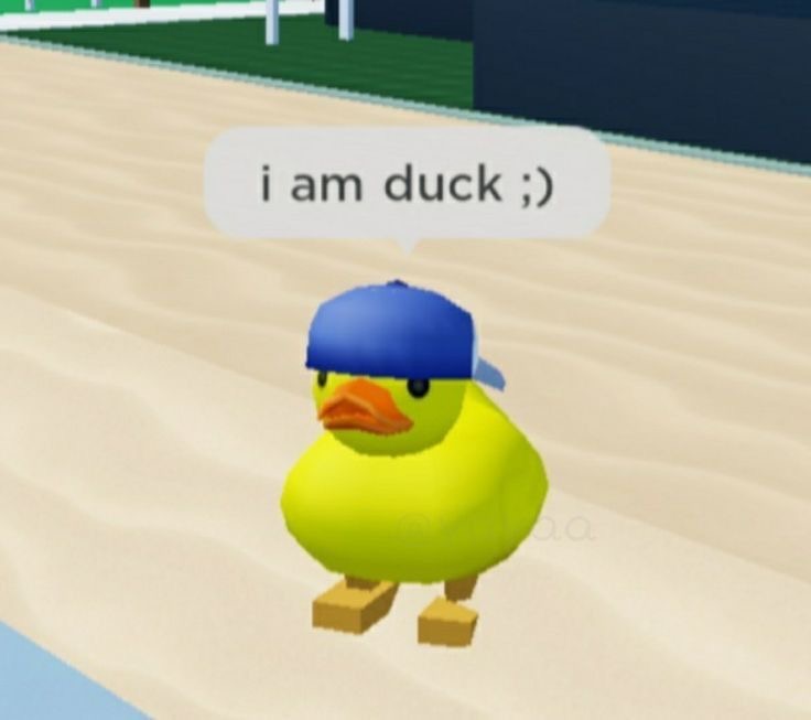 <p>duck</p>