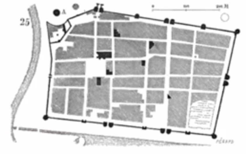 term image