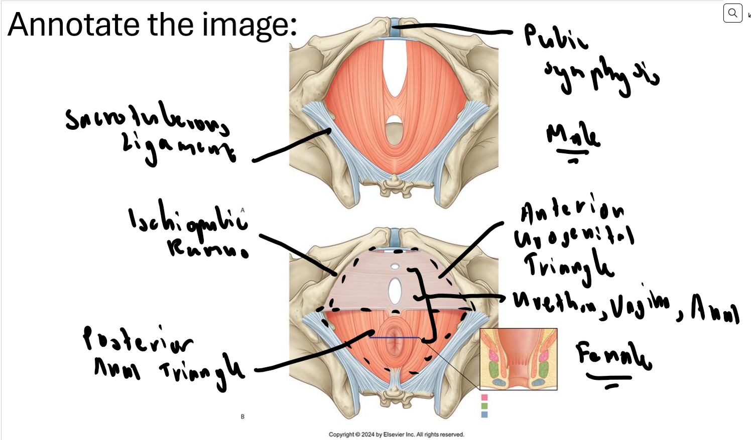 knowt flashcard image