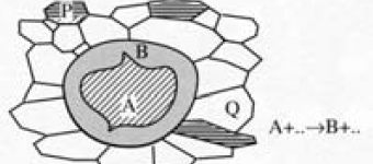 <p>A coronitic rim that completely surrounds a mineral</p>