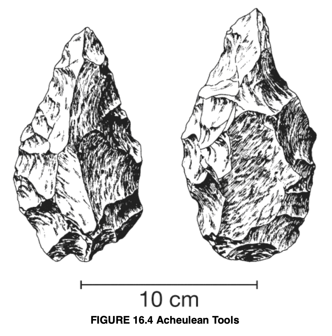 <p>Archeulean (<span style="background-color: transparent;">Acheulian) </span>Tools</p>