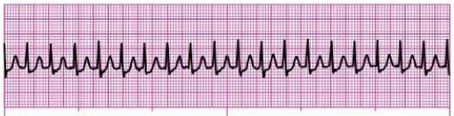 <p>Guess the Rhythm> </p>