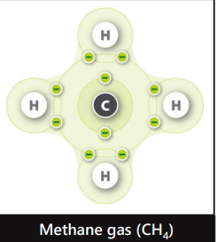<p>Equal Forces </p>