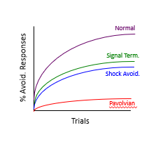 <p>Prediction of 2FT → if fear reduction is the reinforcer then, ending the tone shd be enough </p><p>Experiment Conditions: </p><ol><li><p>Normal Avoidance </p></li><li><p>Signal Termination only </p></li><li><p>Shock avoidance only </p></li><li><p>Pavlovian </p></li></ol><p>Results: </p><ul><li><p>Normal = best learning </p></li><li><p>Signal termination = weaker than expected </p></li><li><p>Shock avoidance = better than expected </p></li></ul><p></p><p>Prediction does not always match reality </p><p></p>