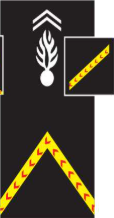 <p></p>