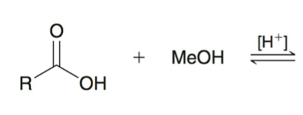 <p>Fischer esterification</p>