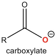 <p>carboxylate + H+ ————></p>