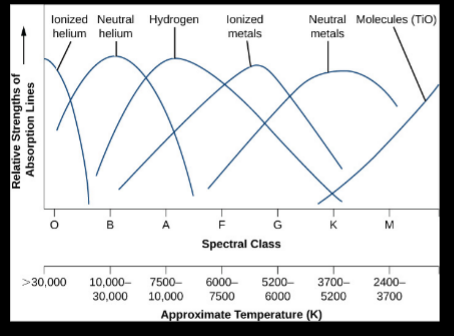 <p><span style="background-color: transparent;">Why would differences in surface temperatures produce the observed pattern of spectral lines? — continued</span></p>