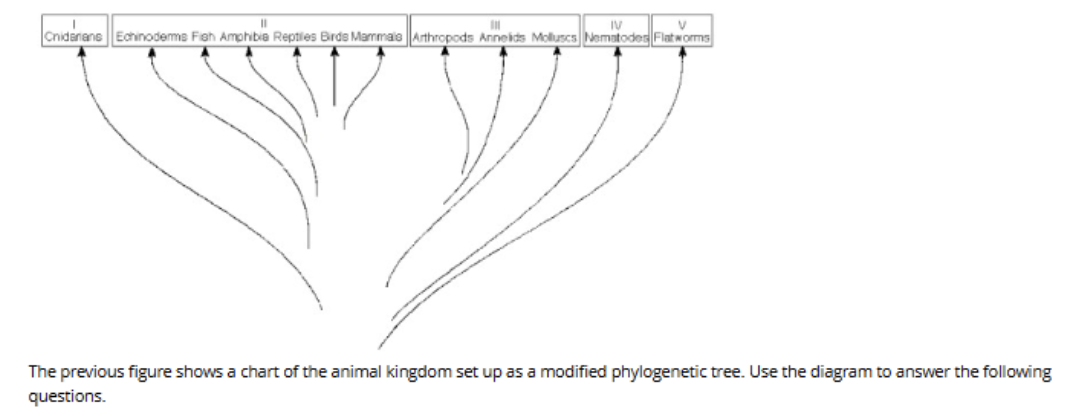 <p><span>Which two groups have members that undergo ecdysis?</span></p>