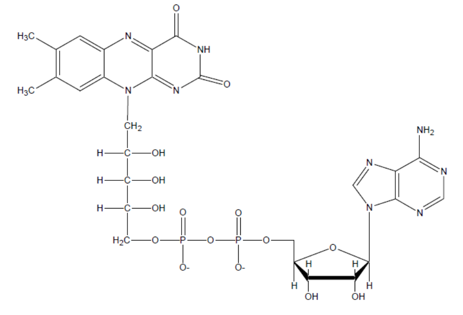 <p>The molecule shown above is a cofactor of:</p><p>&nbsp;</p><p>a) Succinyl-CoA synthetase</p><p>&nbsp;</p><p>b) Pyruvate carboxylase</p><p>&nbsp;</p><p>c) Succinate Dehydrogenase</p><p>&nbsp;</p><p>d) Isocitrate dehydrogenase</p><p>&nbsp;</p><p>e) Citrate Synthase</p>