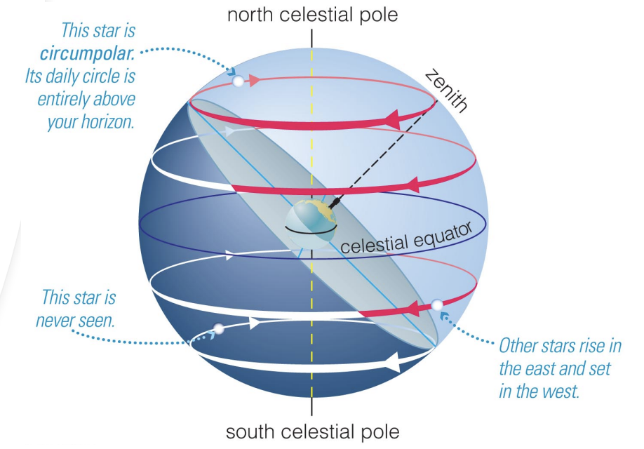 <p>All objects in the sky appear to rise in the east and set in the west due to the <strong>Earth’s west-to-east rotation.</strong></p>