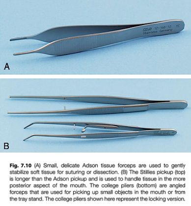 <p>allis tissue</p><p>adson forceps</p><p>stillies forceps</p>