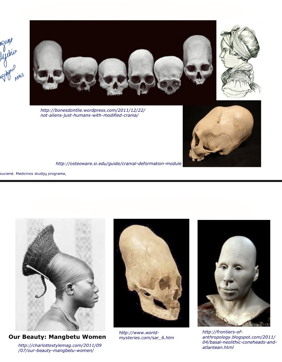 term image