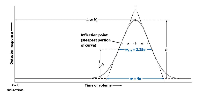 <p>❑w1/2 : width measured at a height equal to half of the peak height</p><p>❑w: width at the baseline between tangents drawn to the steepest </p><p>parts of the peak.</p><p>❑Solute peaks→Gaussian peak shapes → use population st.dev to describe peak </p><p>width.</p><p>• W1/2 = 2.35 sigma</p><p>• W = 4 sigma</p>