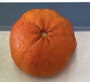 term image