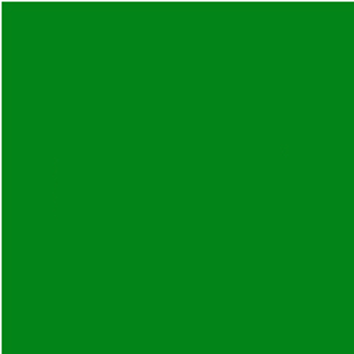 <p>lǜ sè green màu xanh lá 他买了一件 蓝色的上衣</p>