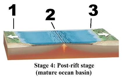 <p><span>Which of the following options are correct regarding the </span><strong>tectonic activity</strong><span> at </span><strong>location #1</strong><span> in the figure above during the </span><strong>later stages of rifting</strong><span>? (mark all that applies)</span></p>