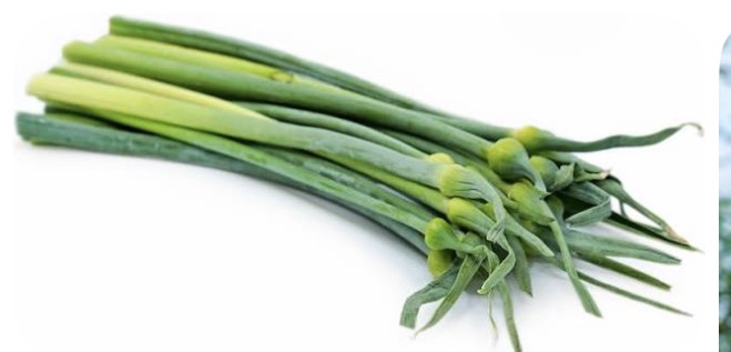 <p>Leek bud</p>