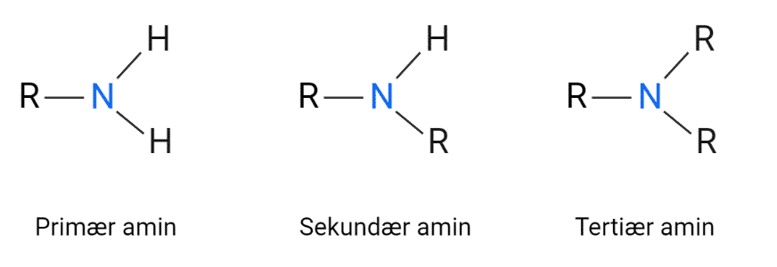 <p>hva bestemmer om en amin er primær, sekundær eller teritær?</p>