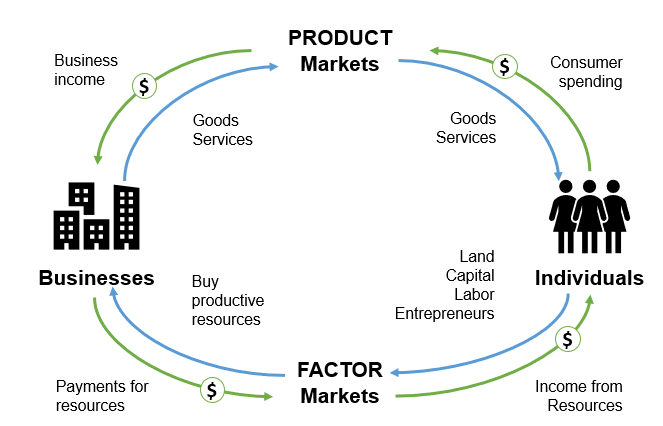 <ul><li><p>Individuals: Buy products from the product market, and sell their labor and skills in the factor market</p></li><li><p>Product Market: Buys products from businesses, and sells products to individuals</p></li><li><p>Business: Sells products to factor markets, and pay for resources from factor markets</p></li><li><p>Factor Market: Sells resources to businesses, and earns money from resources</p></li></ul><p></p>