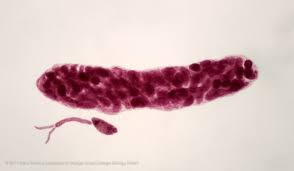 <p>What is this?</p>