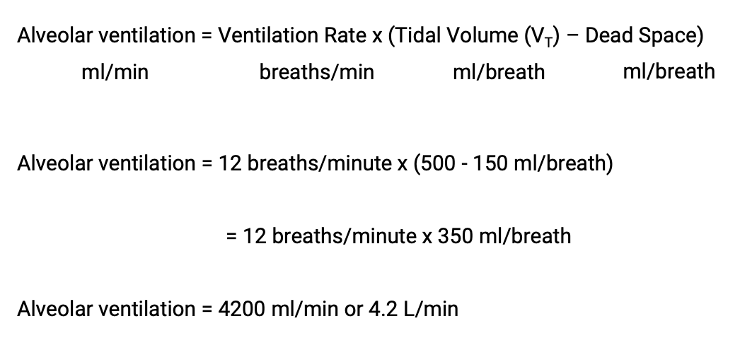 <p>Volume of air that reaches the alveoli in 1 minute and undergoes gas exchange.</p><p><strong><mark data-color="yellow" style="background-color: yellow; color: inherit;">REMEMBER THE FORMULA</mark></strong></p>