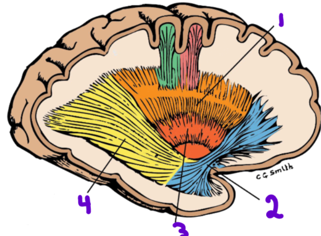 <p>3</p>