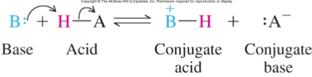 <p>When an acid surrenders a proton in an acid-base reaction, its</p><p>conjugate base is formed</p>