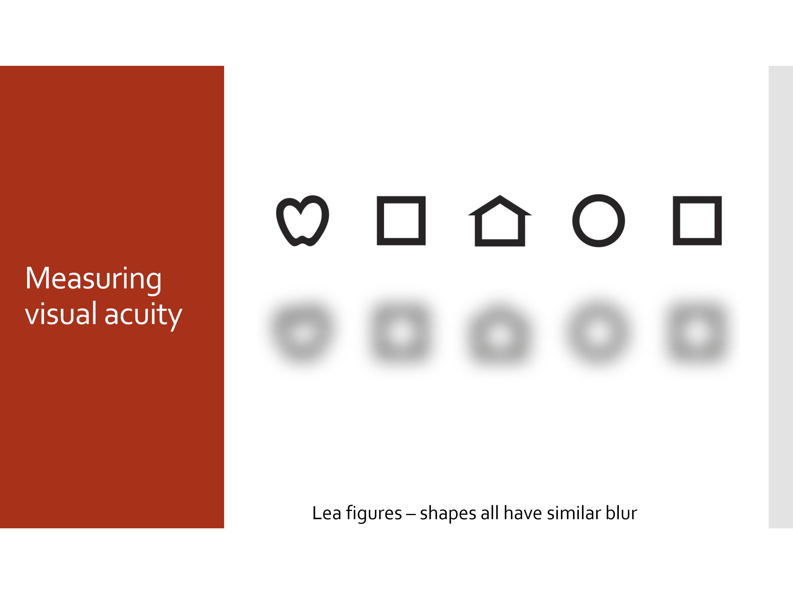 <p>Lea figures are better standardized because the shapes have similar blur, making them a more reliable optotype set for visual acuity testing.</p>