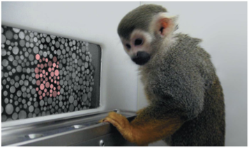 <p>Abnormal color vision</p>