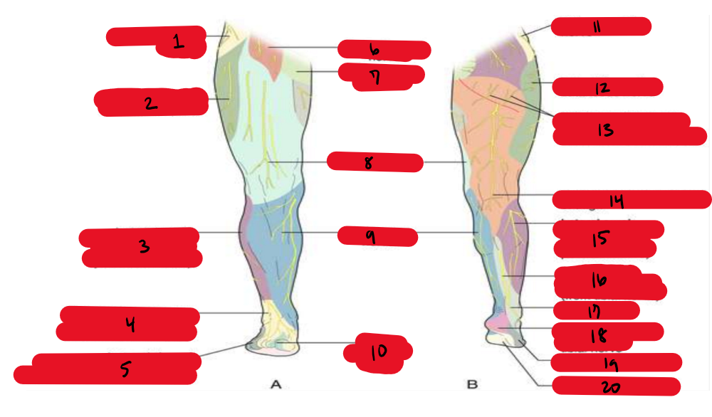 <p>15</p>