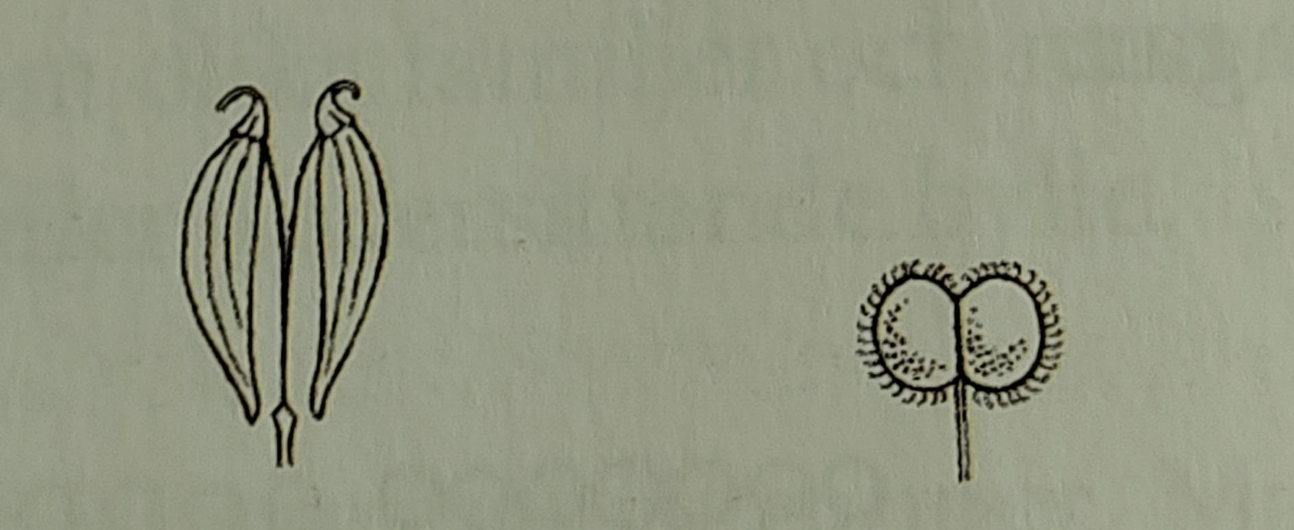 <p></p>