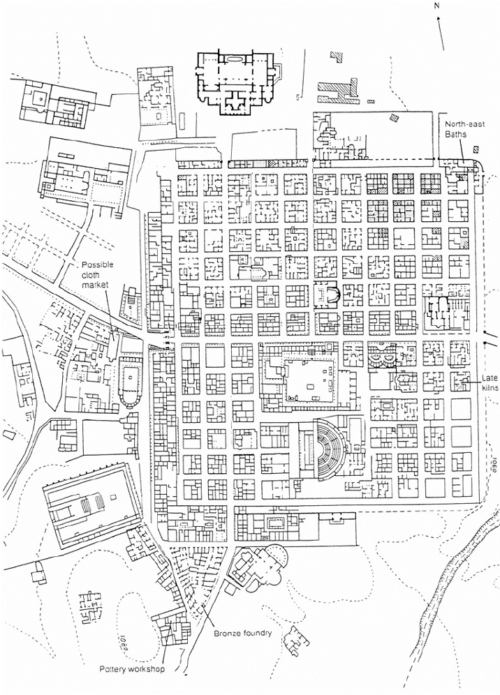 term image