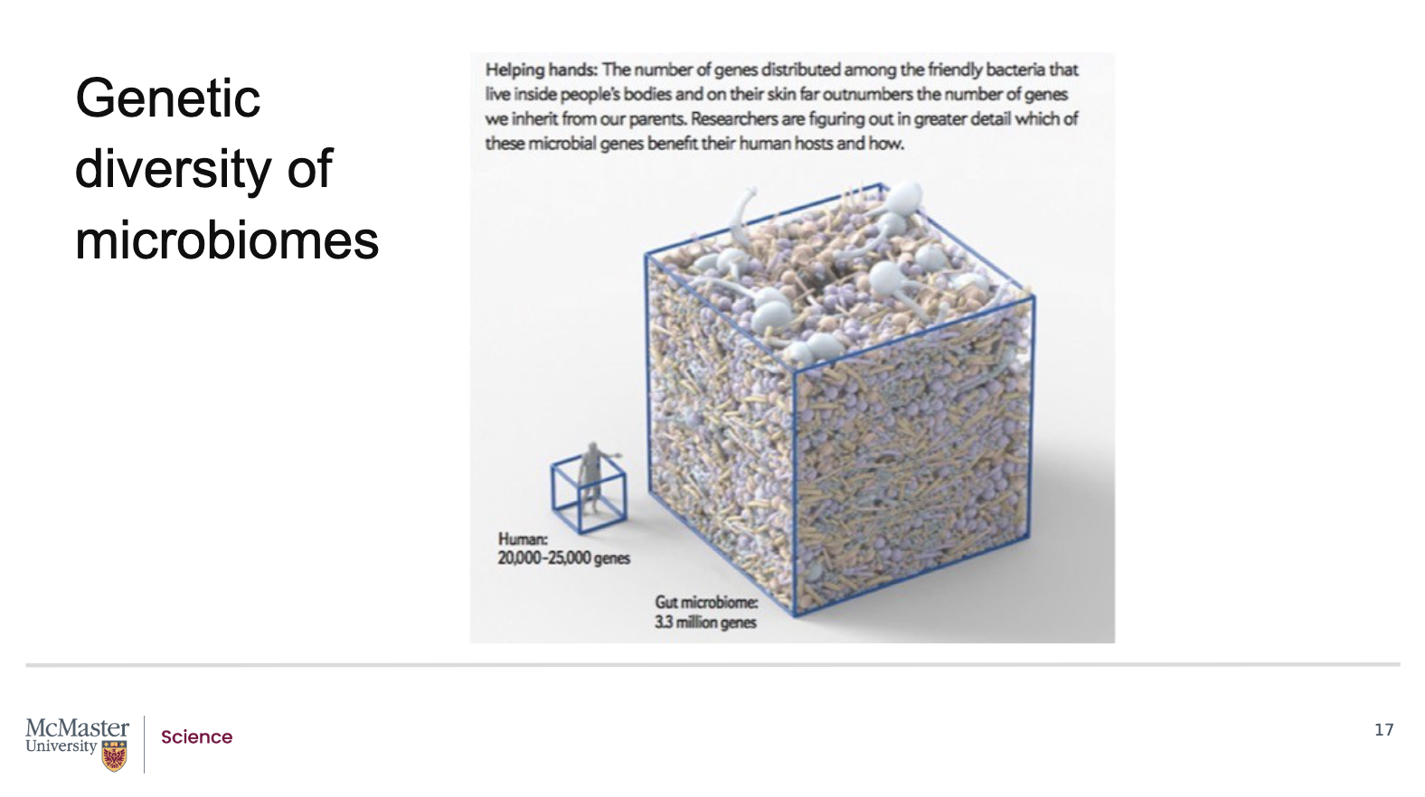 <p><strong>A:</strong></p><ul><li><p>The <strong>personal microbiome</strong> contains a <strong>highly diverse collection of bacterial species</strong></p></li><li><p>Across all microbiome species, there may be <strong>over 3 million distinct genes</strong></p></li><li><p>This is much larger than the human genome, which has only <strong>~20,000 protein‑coding genes</strong></p></li><li><p>Because of this, the microbiome represents a <strong>rich source of genetic diversity</strong></p></li><li><p>Humans can access this microbial genetic diversity <strong>daily</strong>, which may:</p><ul><li><p>Help us <strong>adapt more quickly</strong> to a <strong>changing environment</strong></p></li></ul></li><li><p>This shows that the microbiome greatly expands our <strong>functional genetic capacity</strong>, beyond our own DNA</p></li></ul><p><span data-name="check_mark_button" data-type="emoji">✅</span> <strong>Memory tip:</strong></p><figure data-type="blockquoteFigure"><div><blockquote><p>Microbiome genes (millions) ≫ human genes (thousands)</p></blockquote><figcaption></figcaption></div></figure><p></p>