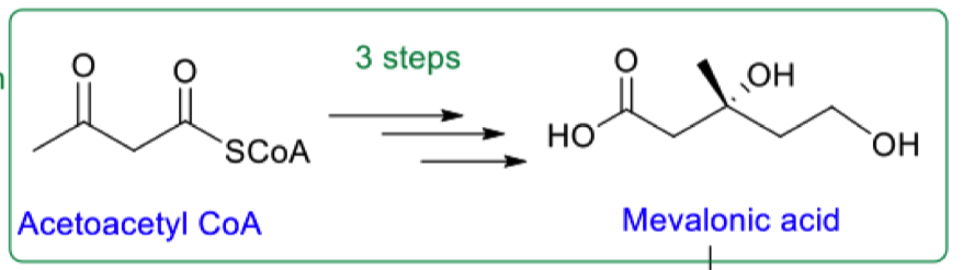 <p>list the 3 steps to go from acetoacetyl coA to mevalonic acid</p>