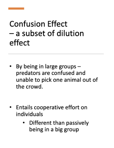 <p>info card flip for example </p>