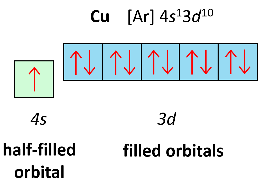 <p>1s<sup>2</sup> 2s<sup>2</sup> 2p<sup>6</sup> 3s<sup>2</sup> 3p<sup>6</sup> 4s<sup>1</sup> 3d<sup>10</sup></p><p>stability for having a full 3d orbital</p>