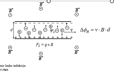 <p><span><strong>Tai reiškinys,&nbsp; kai veikiant pastoviam magnetiniam laukui(statmenos jegų linijos), skersai elektrolito tėkmės atsiranda elektrinė įtampa.</strong></span></p><p></p><p><span>vienas krastas teigiamas, kitas - neigiamas</span></p>